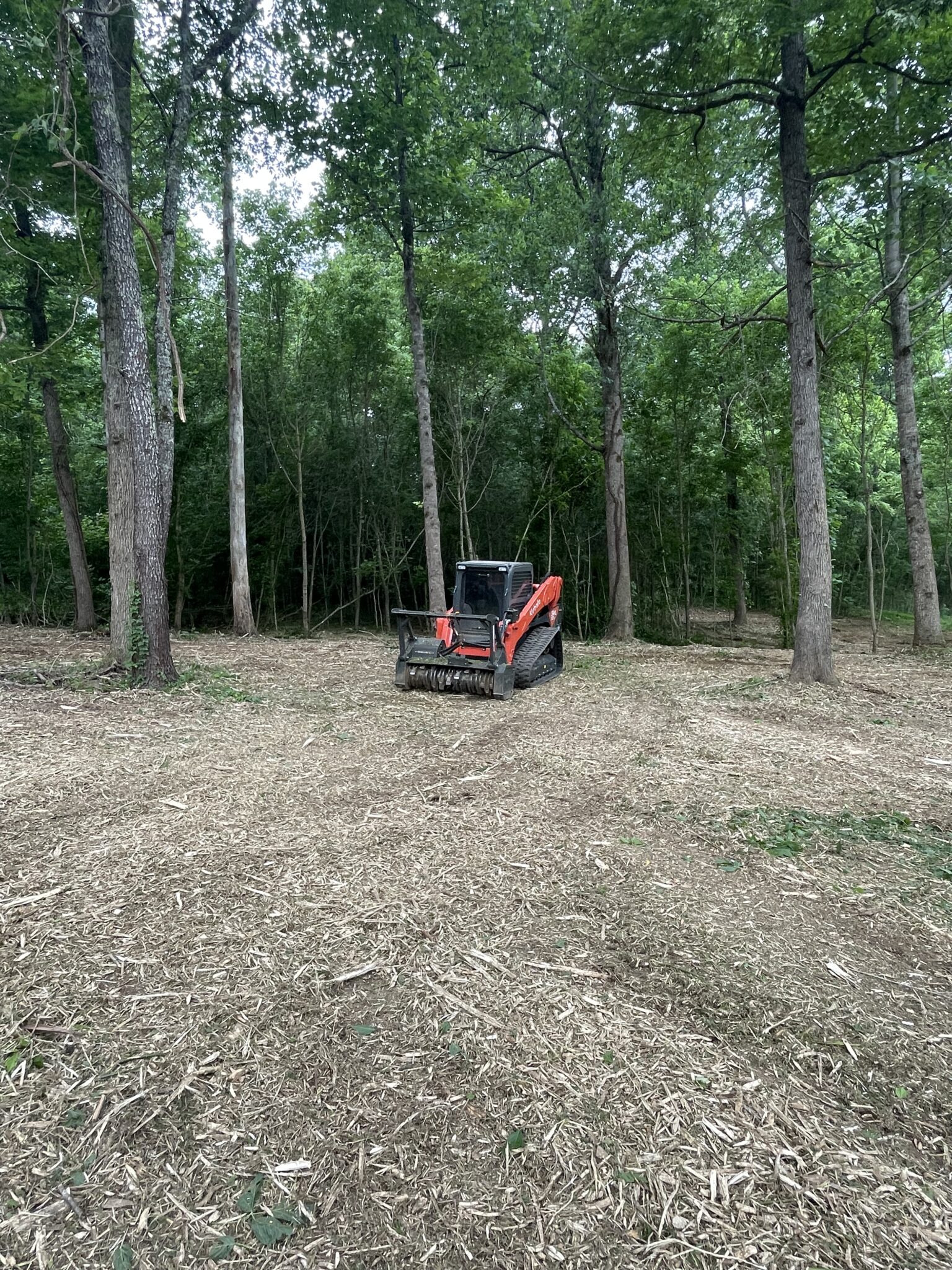 Home - 1Up Excavating | Soddy-Daisy's Land Clearing and Forestry Mulching
